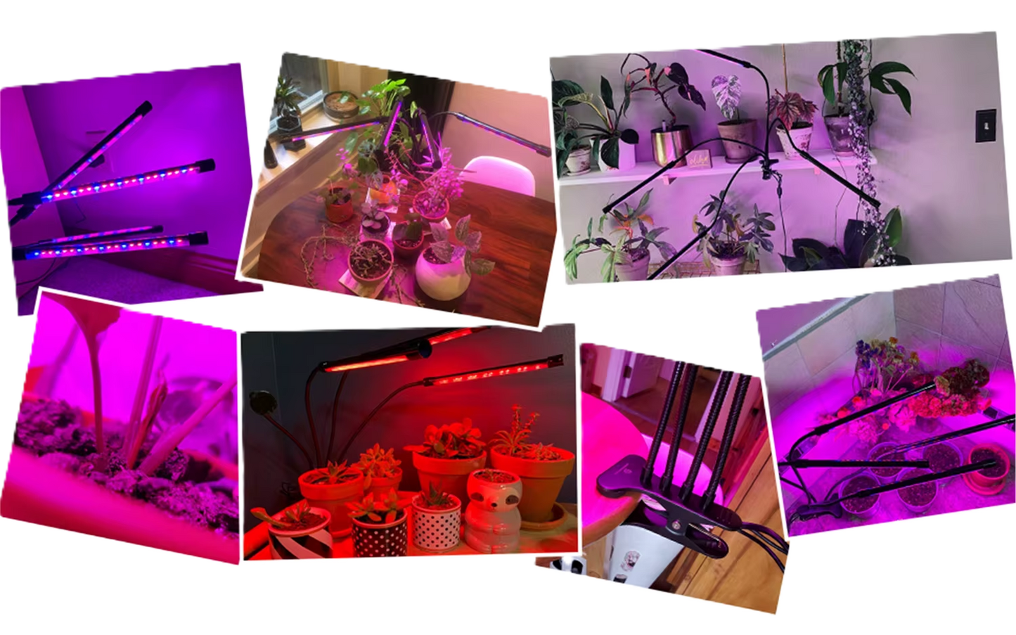 Lampe horticole LED – Croissance optimale pour plantes d’intérieur