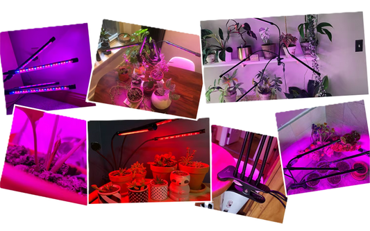 Lampe horticole LED – Croissance optimale pour plantes d’intérieur
